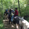 2017 Horseback Riding